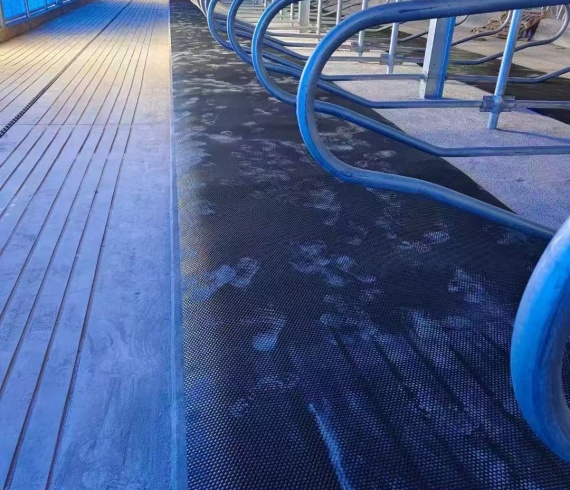 Professional Technical Support