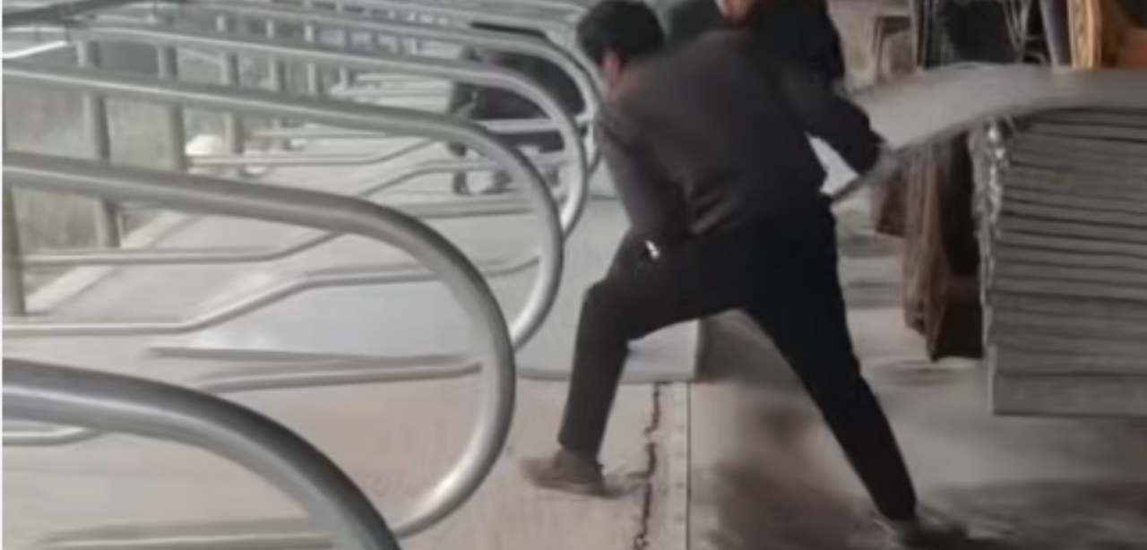 ¿Qué es una alfombra de vaca?